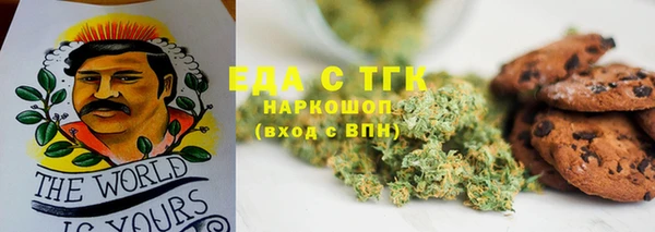 индика Горняк