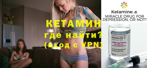 индика Горняк