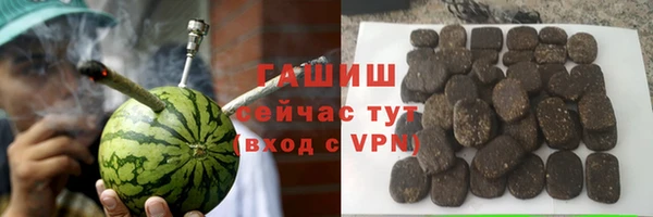 индика Горняк