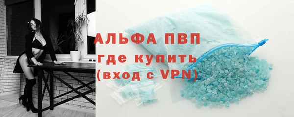 индика Горняк