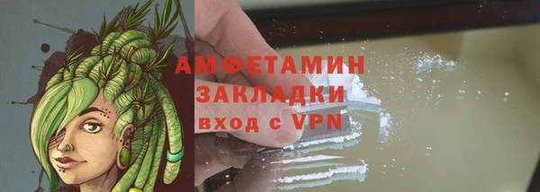 индика Горняк