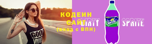 мдпв Горно-Алтайск