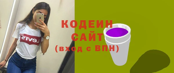 индика Горняк