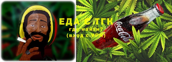 индика Горняк