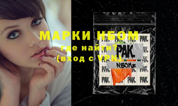 индика Горняк
