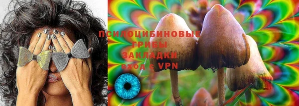индика Горняк