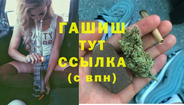 индика Горняк