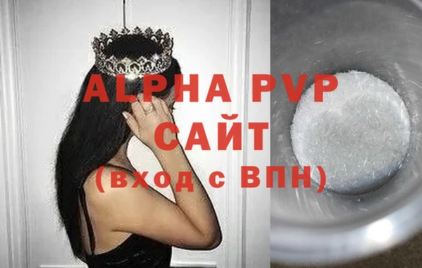 индика Горняк