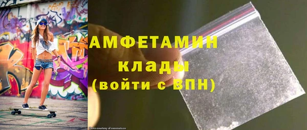 индика Горняк