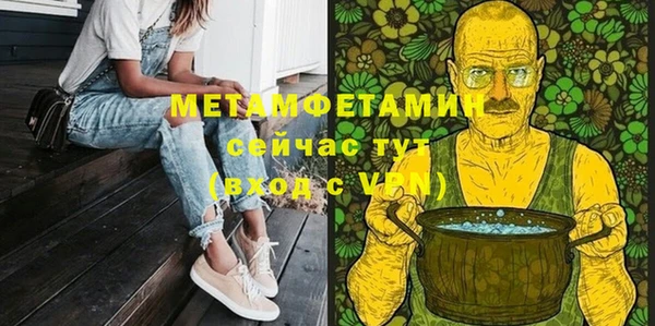 индика Горняк